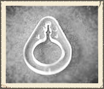 Komponenty do rolet rzymskich - kółeczko gruszka